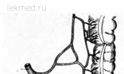 Кровоснабжение толстой кишки